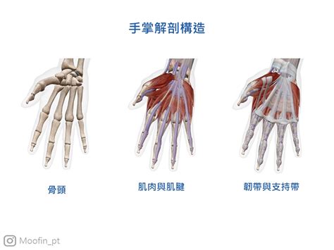 小指第一節彎曲|手指彎曲就伸不直？板機指介紹：疾病成因、症狀、簡。